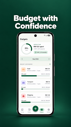 Tally budget screen with monthly plan and categories