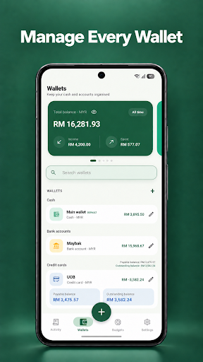Tally wallets screen showing cash, bank, and credit card accounts